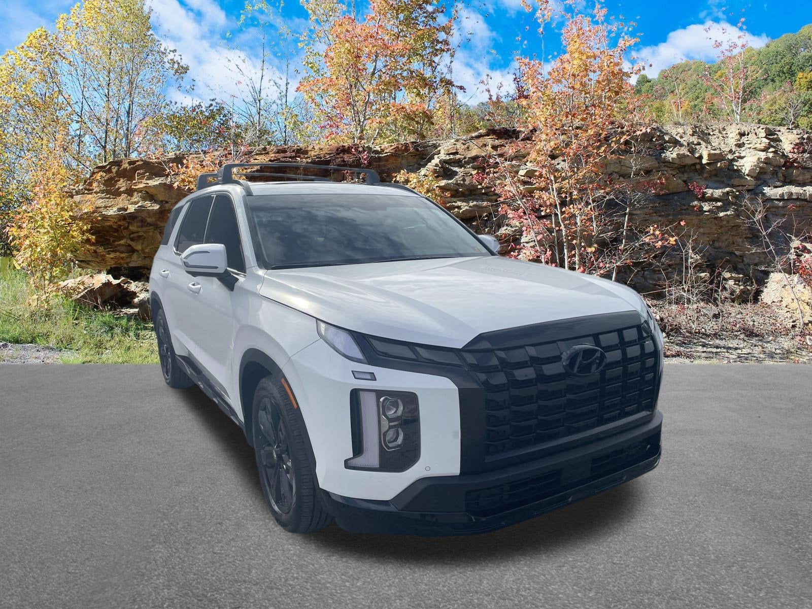 2025 Hyundai Palisade XRT