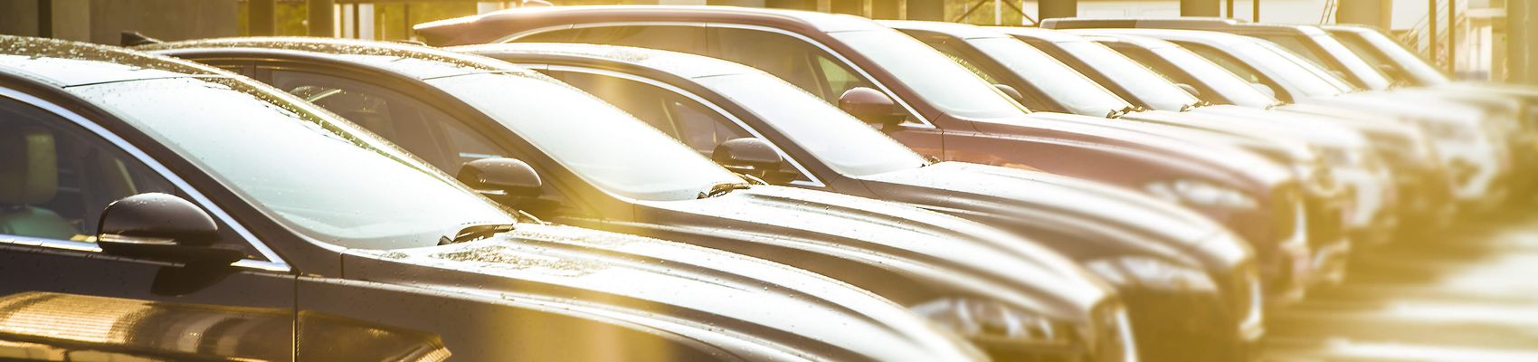 Used Car Dealer near Branchland WV